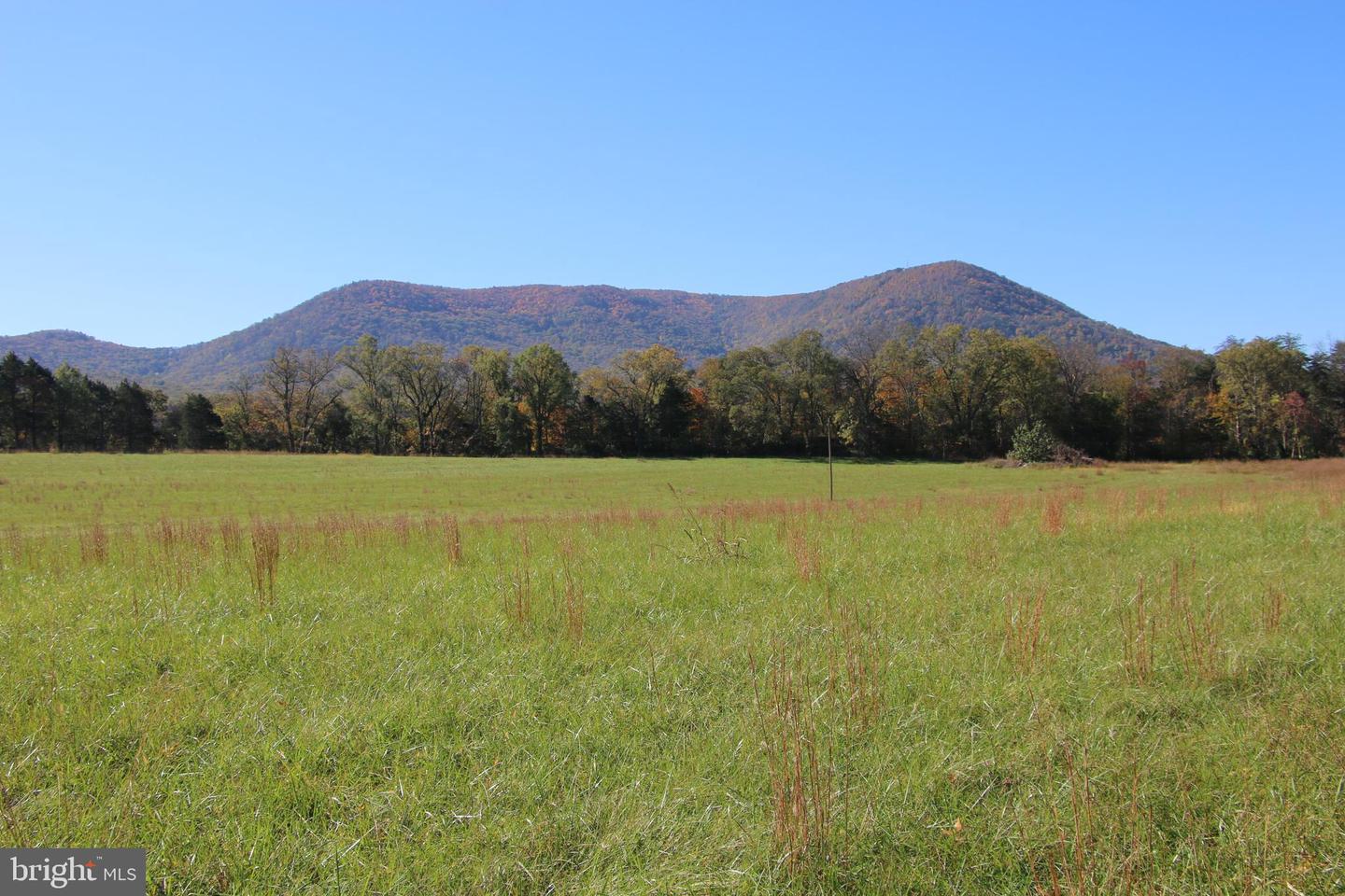 NELSON LOT Q RD, STRASBURG, Virginia 22657, ,Land,For sale,NELSON LOT Q RD,VAWR2009540 MLS # VAWR2009540