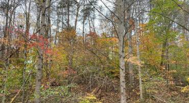 16014 CARRINGTON CT, MINERAL, Virginia 23117, ,Land,For sale,16014 CARRINGTON CT,VASP2029102 MLS # VASP2029102