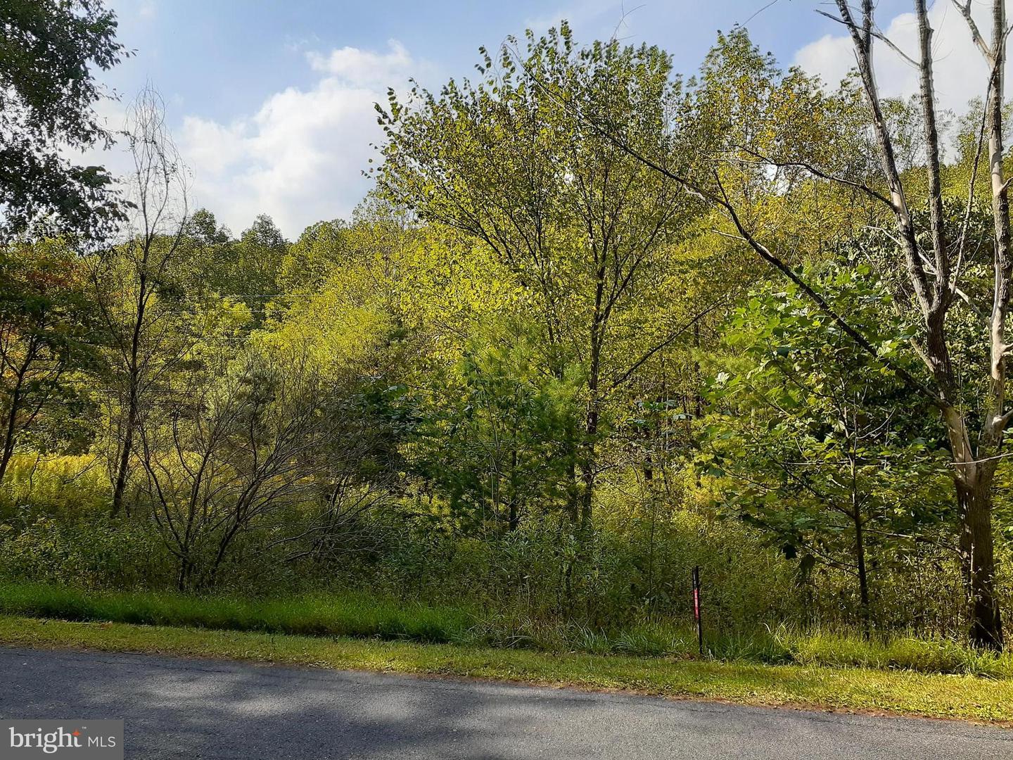 0 BACK CREEK RD, GORE, Virginia 22637, ,Land,For sale,0 BACK CREEK RD,VAFV2022922 MLS # VAFV2022922