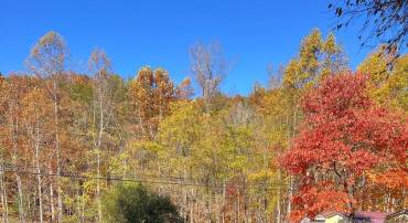 0 BACK CREEK RD, GORE, Virginia 22637, ,Land,For sale,0 BACK CREEK RD,VAFV2022922 MLS # VAFV2022922