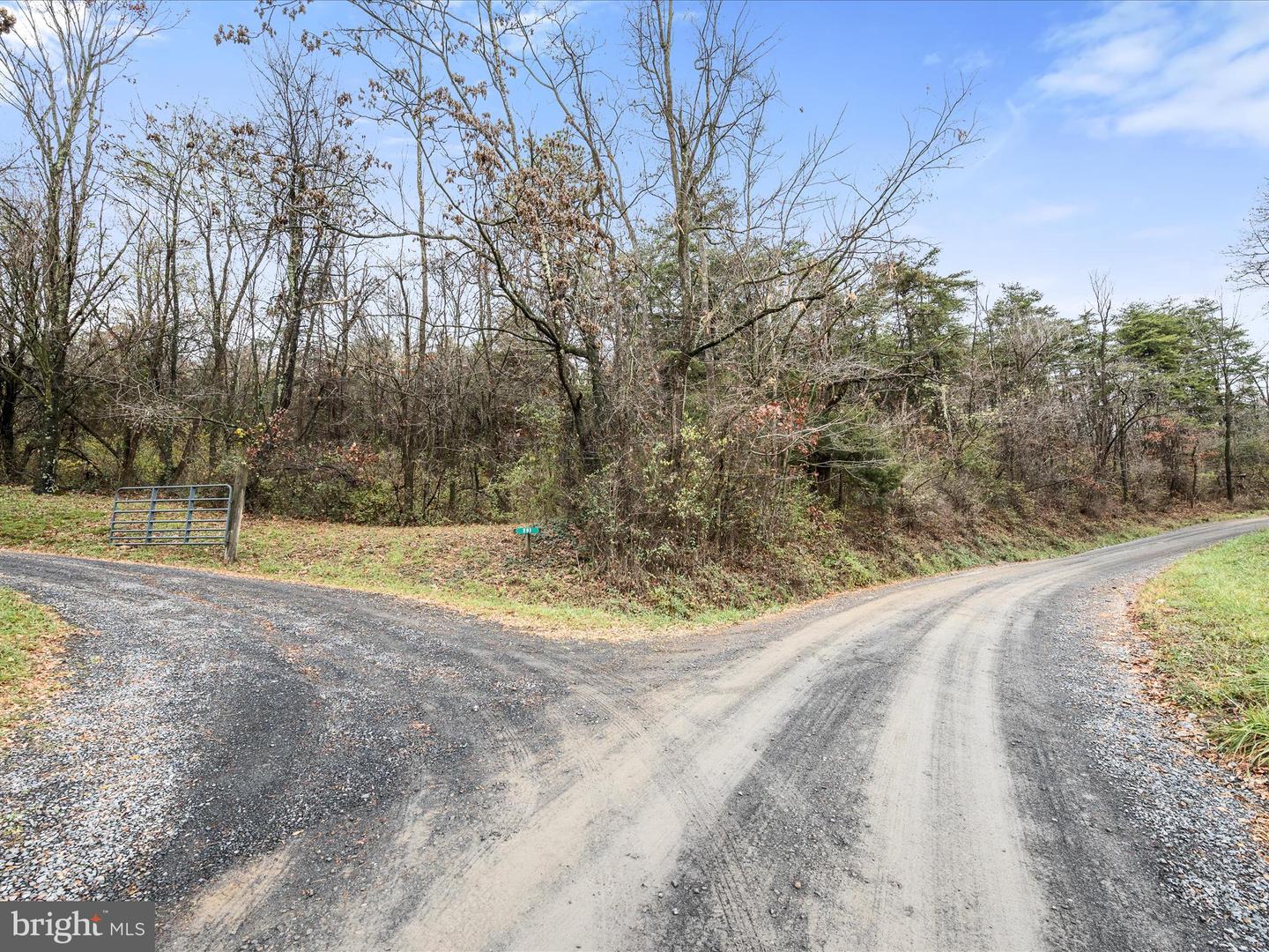 TBD CAPON SPRINGS GRADE, GORE, Virginia 22637, ,Land,For sale,TBD CAPON SPRINGS GRADE,VAFV2022942 MLS # VAFV2022942