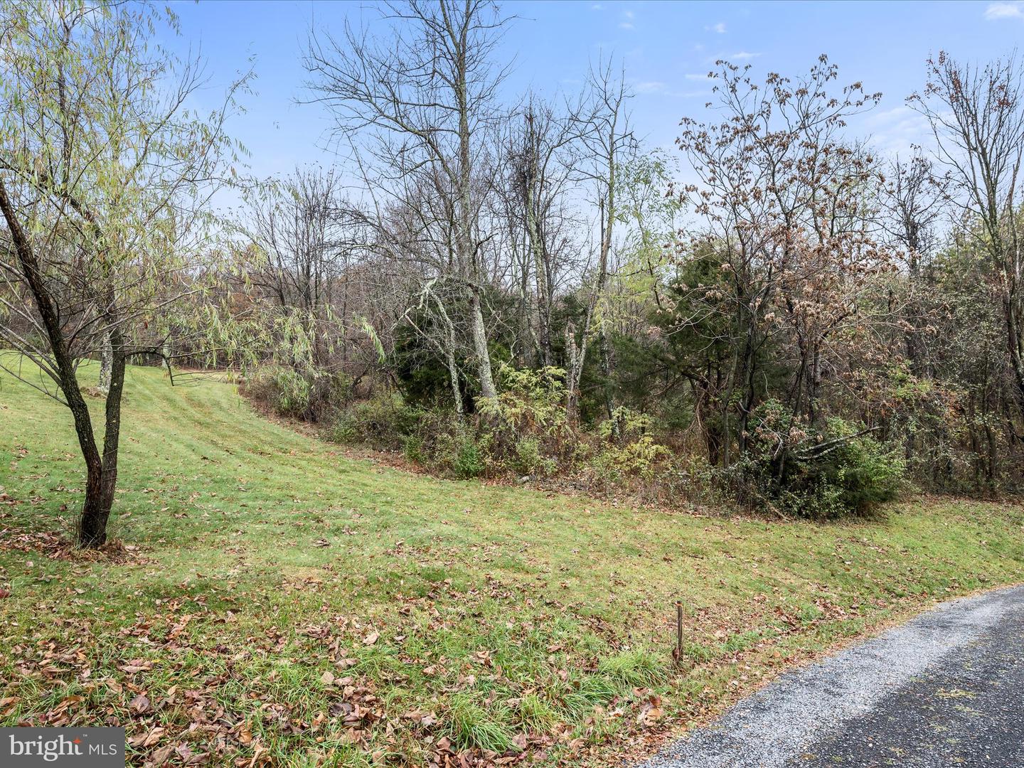 TBD CAPON SPRINGS GRADE, GORE, Virginia 22637, ,Land,For sale,TBD CAPON SPRINGS GRADE,VAFV2022942 MLS # VAFV2022942