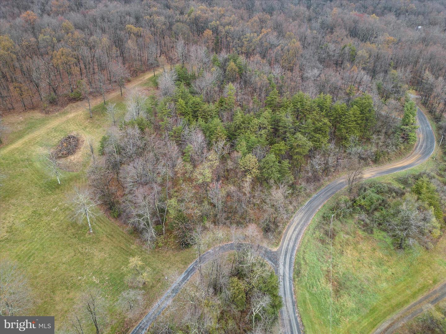 TBD CAPON SPRINGS GRADE, GORE, Virginia 22637, ,Land,For sale,TBD CAPON SPRINGS GRADE,VAFV2022942 MLS # VAFV2022942