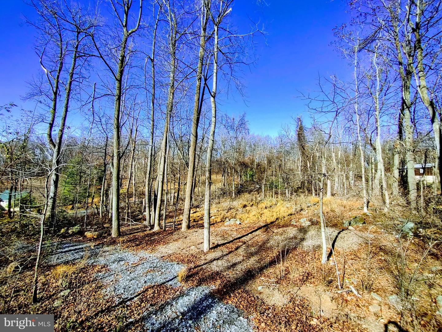 SOURCE LN, LINDEN, Virginia 22642, ,Land,For sale,SOURCE LN,VAWR2009644 MLS # VAWR2009644