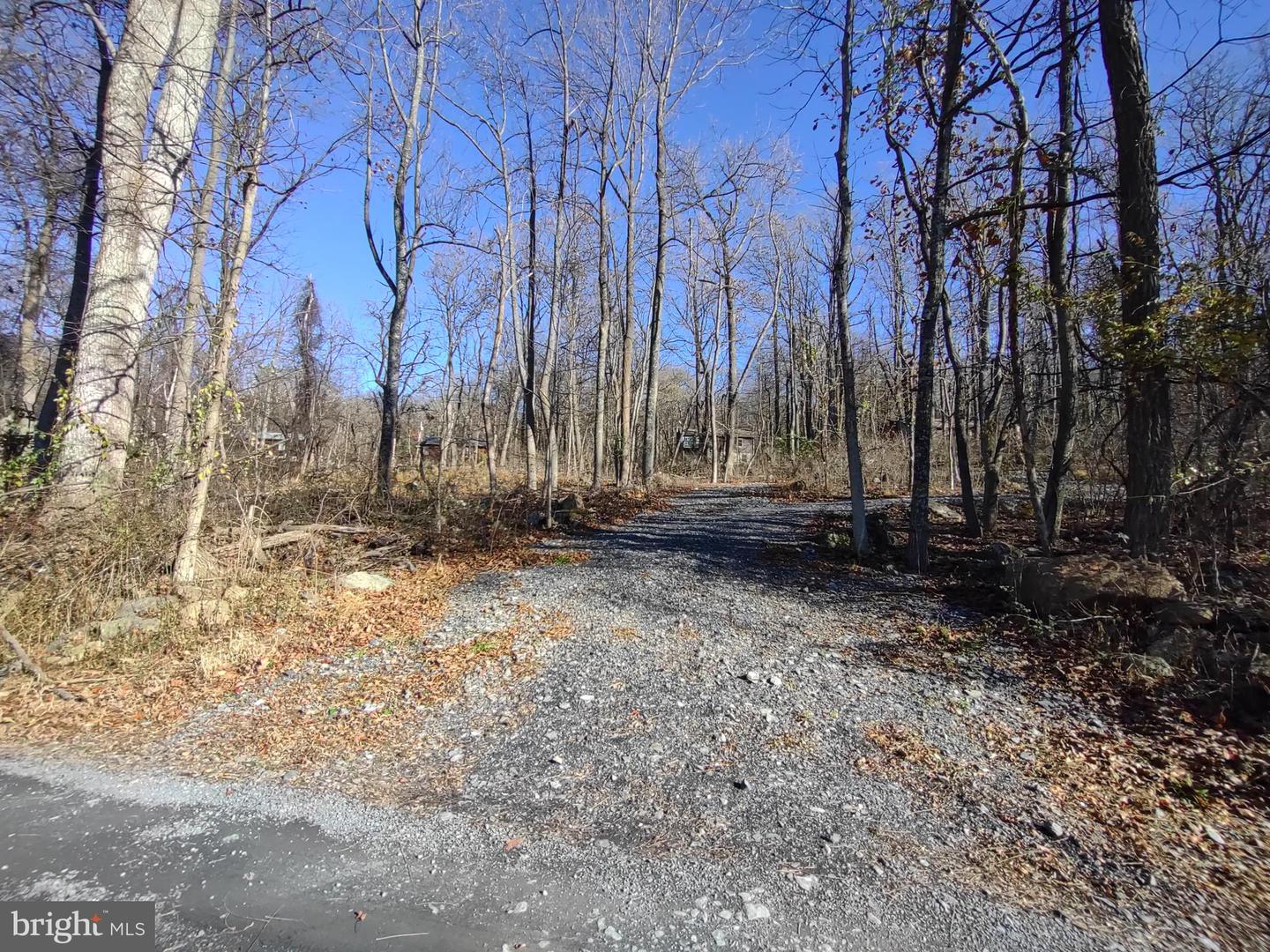 SOURCE LN, LINDEN, Virginia 22642, ,Land,For sale,SOURCE LN,VAWR2009644 MLS # VAWR2009644