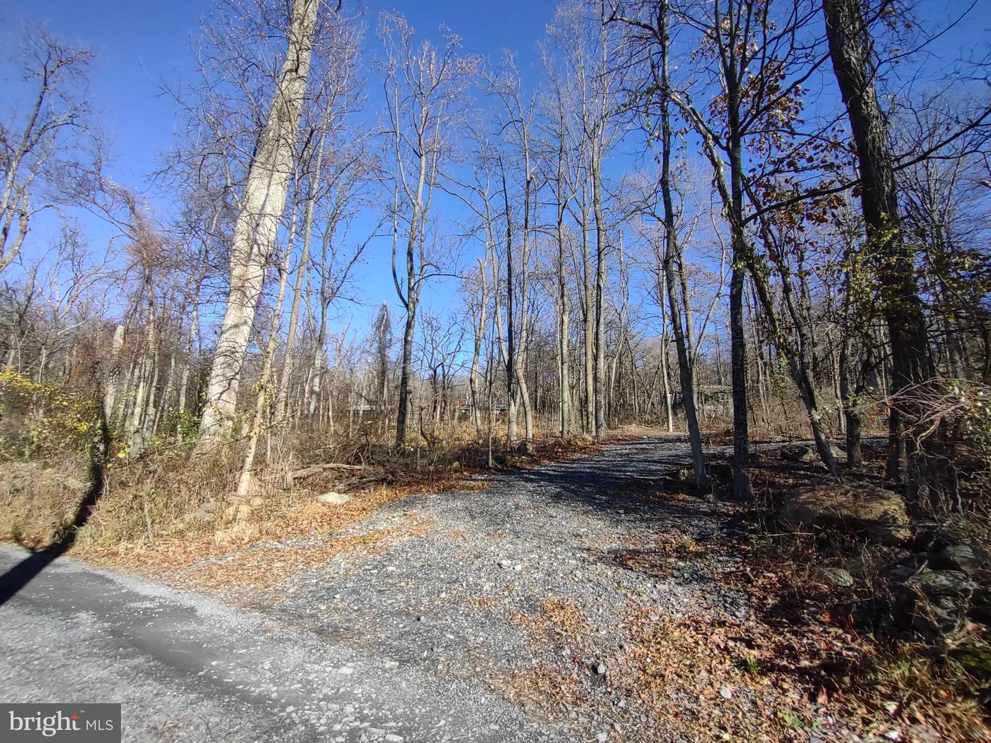 SOURCE LN, LINDEN, Virginia 22642, ,Land,For sale,SOURCE LN,VAWR2009644 MLS # VAWR2009644