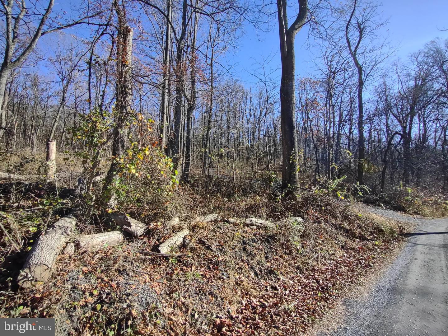 SOURCE LN, LINDEN, Virginia 22642, ,Land,For sale,SOURCE LN,VAWR2009644 MLS # VAWR2009644