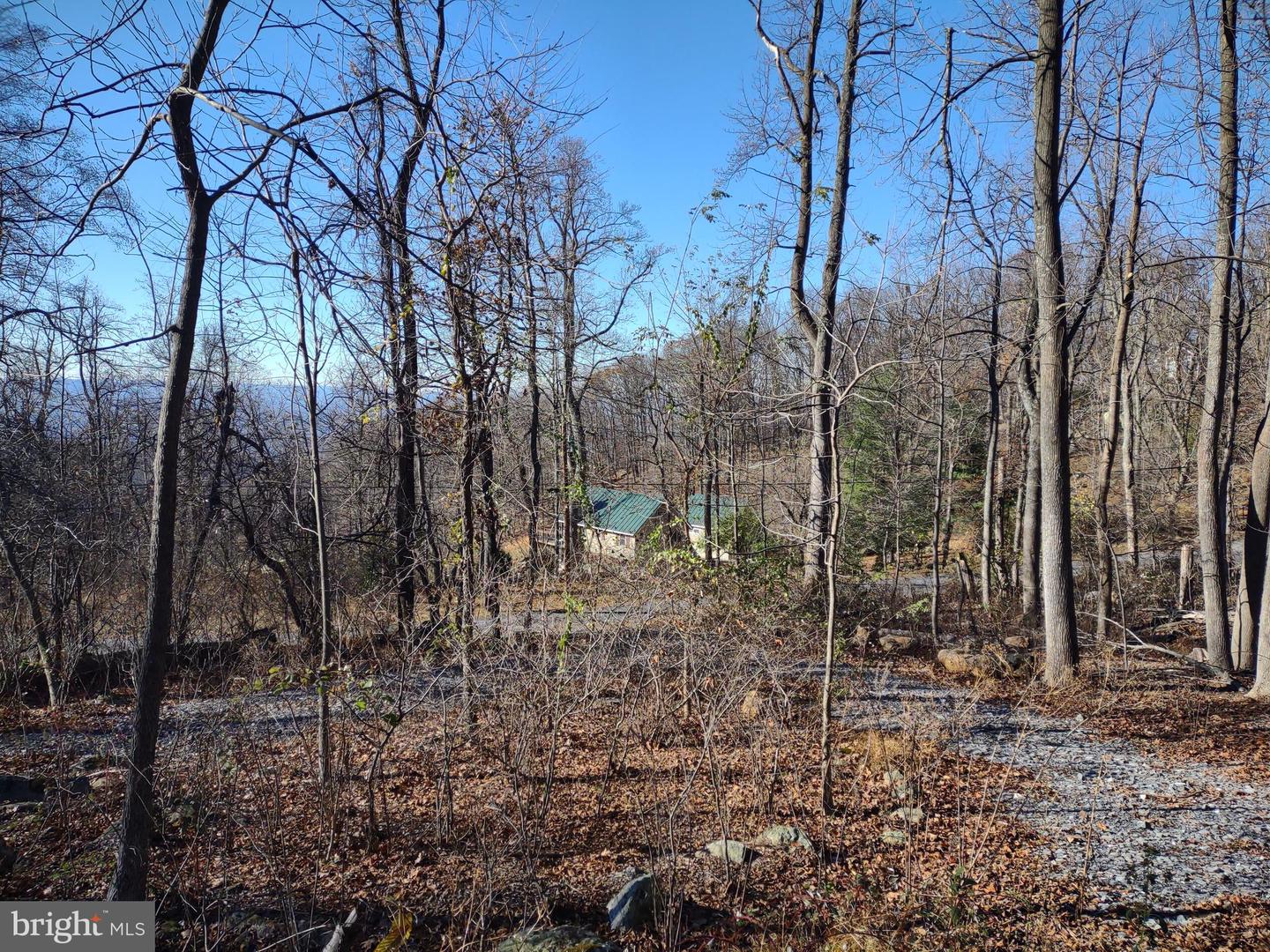 SOURCE LN, LINDEN, Virginia 22642, ,Land,For sale,SOURCE LN,VAWR2009644 MLS # VAWR2009644