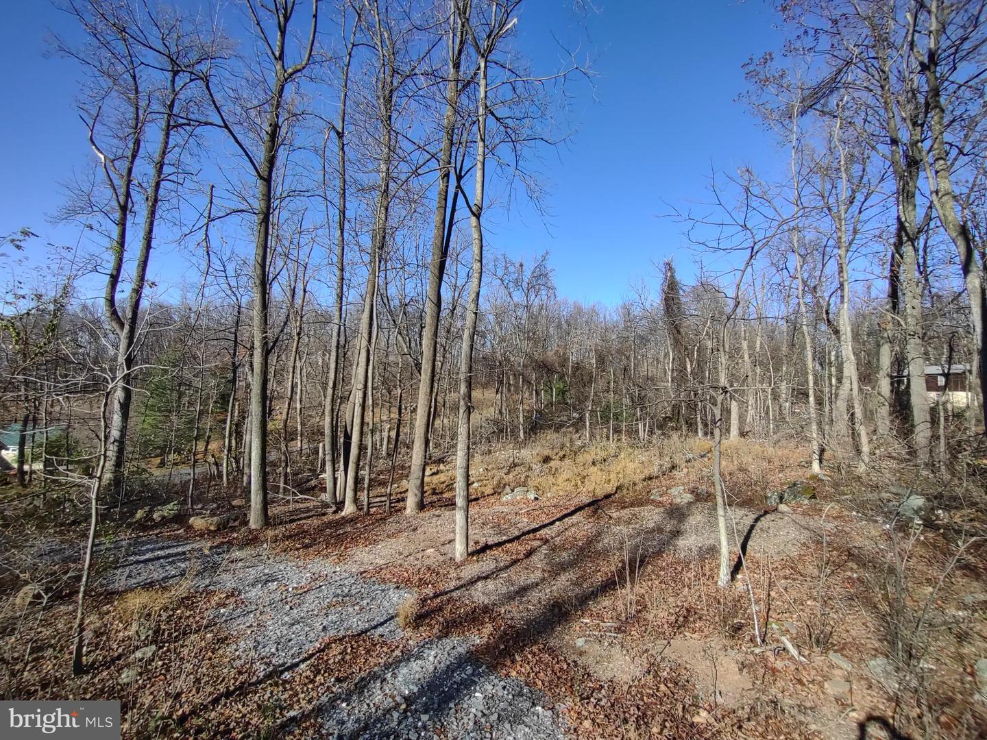 SOURCE LN, LINDEN, Virginia 22642, ,Land,For sale,SOURCE LN,VAWR2009644 MLS # VAWR2009644