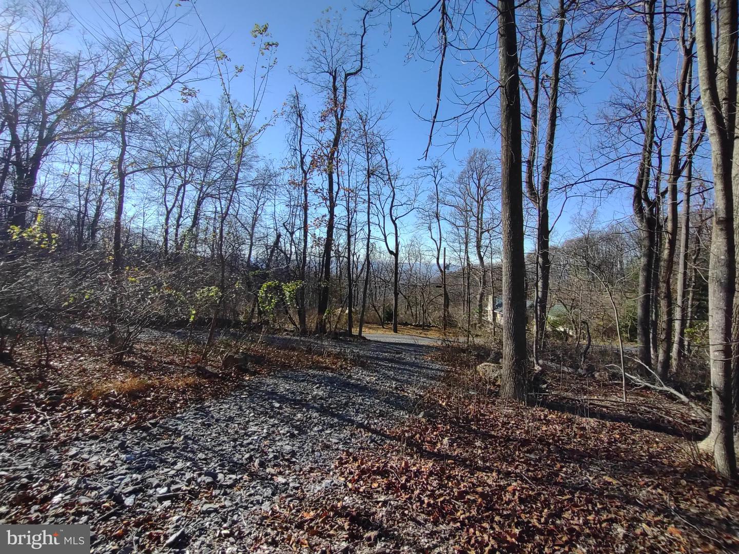 SOURCE LN, LINDEN, Virginia 22642, ,Land,For sale,SOURCE LN,VAWR2009644 MLS # VAWR2009644