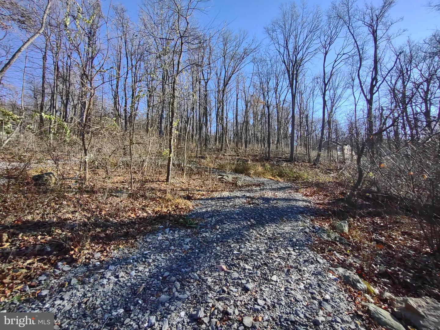 SOURCE LN, LINDEN, Virginia 22642, ,Land,For sale,SOURCE LN,VAWR2009644 MLS # VAWR2009644