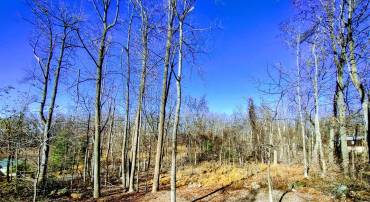 SOURCE LN, LINDEN, Virginia 22642, ,Land,For sale,SOURCE LN,VAWR2009644 MLS # VAWR2009644