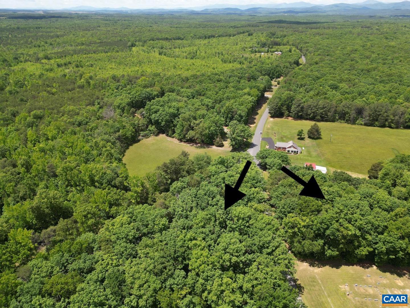 4603 PATTIE RD, BUCKINGHAM, Virginia 23921, ,Land,For sale,4603 PATTIE RD,649280 MLS # 649280