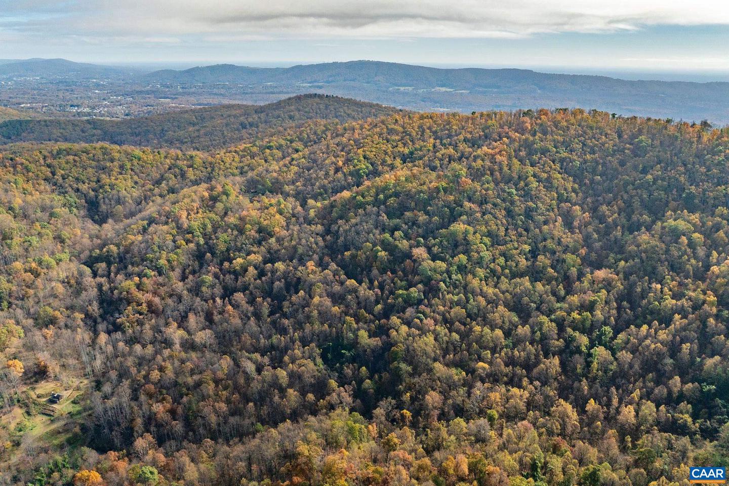 TBD LOCUST HOLLOW RD #01400 & 014A0, CHARLOTTESVILLE, Virginia 22903, ,Farm,For sale,TBD LOCUST HOLLOW RD #01400 & 014A0,658836 MLS # 658836