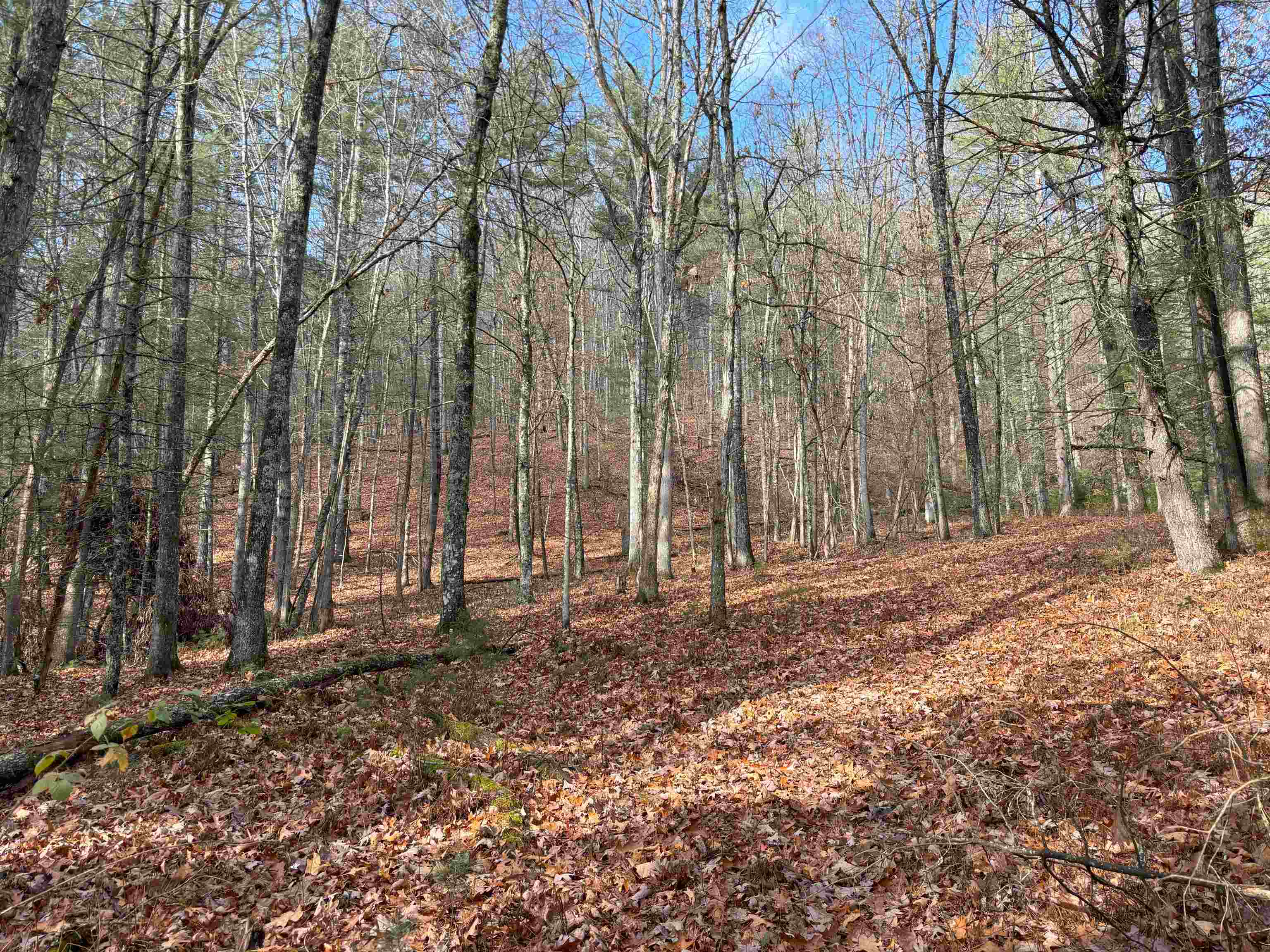 1358 COWPASTURE RIVER RD S, HEADWATERS, Virginia 24442, ,Land,1358 COWPASTURE RIVER RD S,658837 MLS # 658837