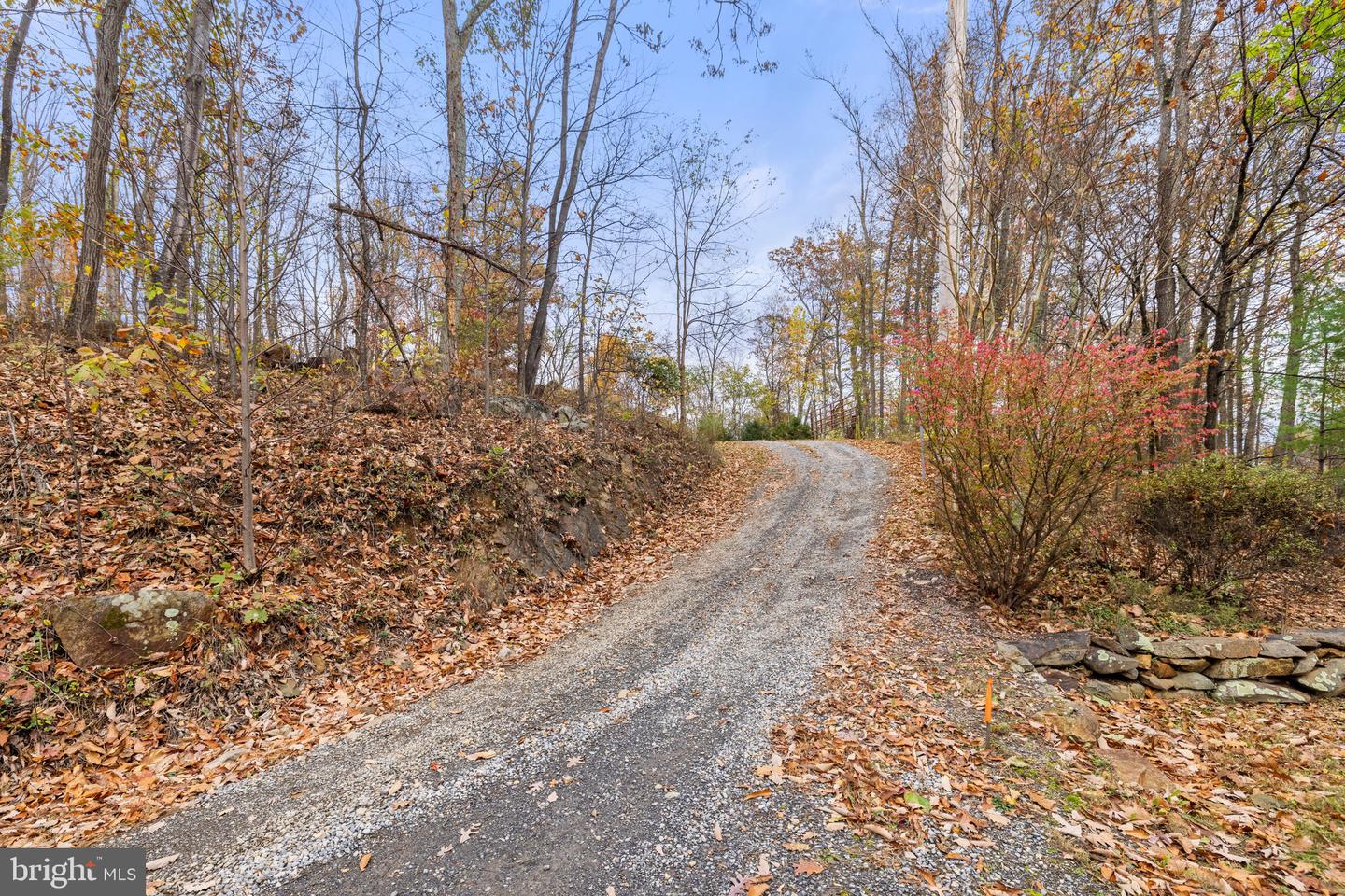 TOOK CROWELL LN (PARCEL 14), HUNTLY, Virginia 22640, ,Land,For sale,TOOK CROWELL LN (PARCEL 14),VARP2001850 MLS # VARP2001850