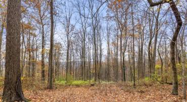 TOOK CROWELL LN (PARCEL 14), HUNTLY, Virginia 22640, ,Land,For sale,TOOK CROWELL LN (PARCEL 14),VARP2001850 MLS # VARP2001850