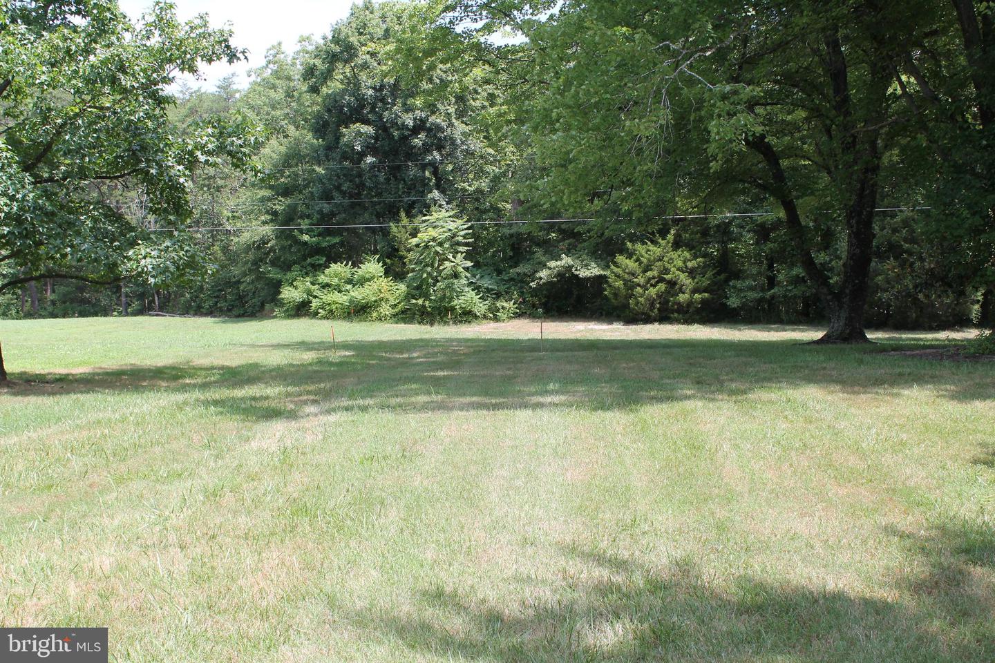 MARYE RD, WOODFORD, Virginia 22580, ,Land,For sale,MARYE RD,VACV2006370 MLS # VACV2006370