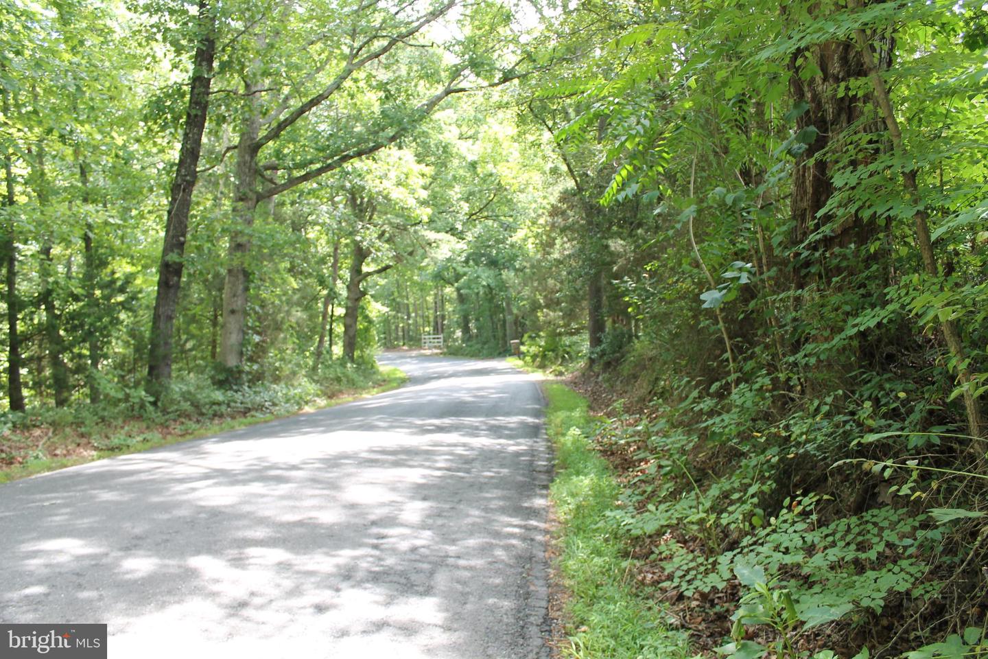 MARYE RD, WOODFORD, Virginia 22580, ,Land,For sale,MARYE RD,VACV2006370 MLS # VACV2006370