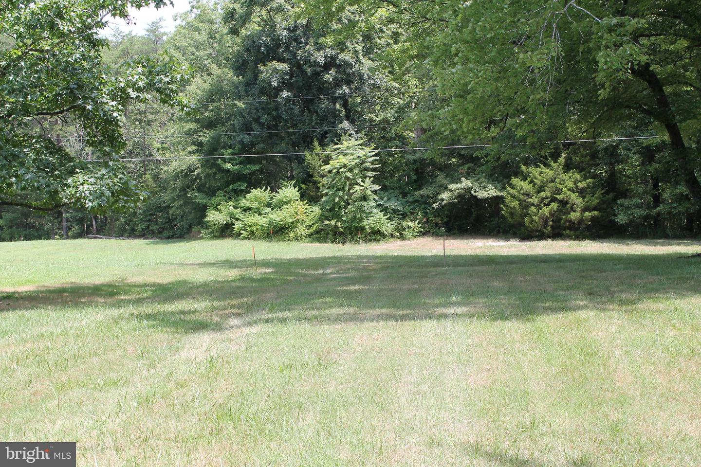 MARYE RD, WOODFORD, Virginia 22580, ,Land,For sale,MARYE RD,VACV2006370 MLS # VACV2006370