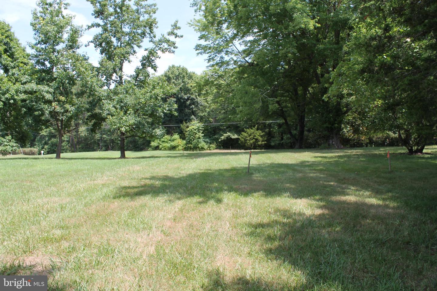 MARYE RD, WOODFORD, Virginia 22580, ,Land,For sale,MARYE RD,VACV2006370 MLS # VACV2006370