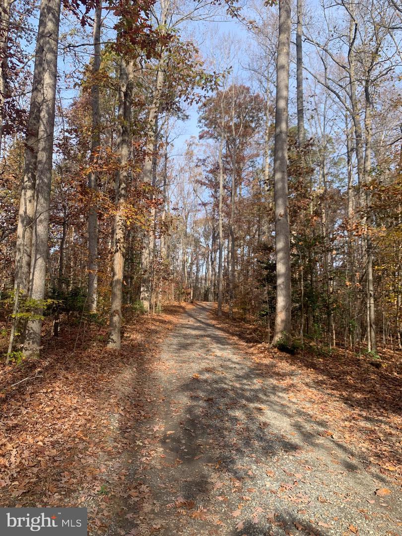 LOT 5 OAK HAVEN DR, MINERAL, Virginia 23117, ,Land,For sale,LOT 5 OAK HAVEN DR,VALA2006882 MLS # VALA2006882