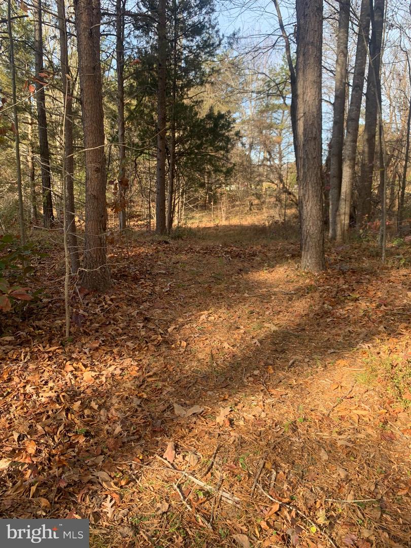 LOT 5 OAK HAVEN DR, MINERAL, Virginia 23117, ,Land,For sale,LOT 5 OAK HAVEN DR,VALA2006882 MLS # VALA2006882