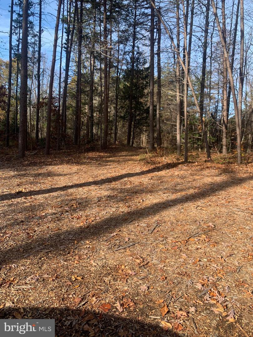 LOT 5 OAK HAVEN DR, MINERAL, Virginia 23117, ,Land,For sale,LOT 5 OAK HAVEN DR,VALA2006882 MLS # VALA2006882