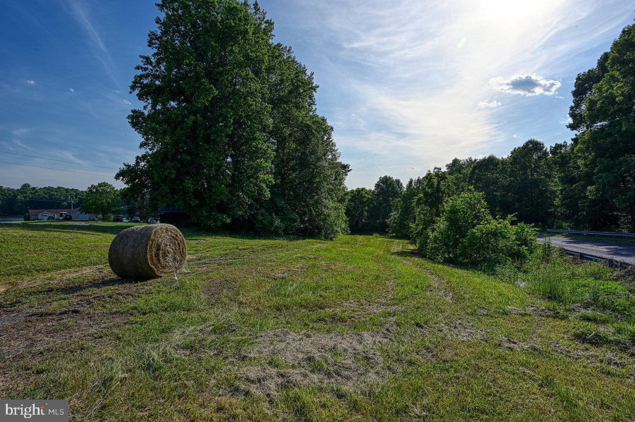 7010 EVANS FAMILY PL., MINERAL, Virginia 23117, ,Land,For sale,7010 EVANS FAMILY PL.,VASP2029286 MLS # VASP2029286