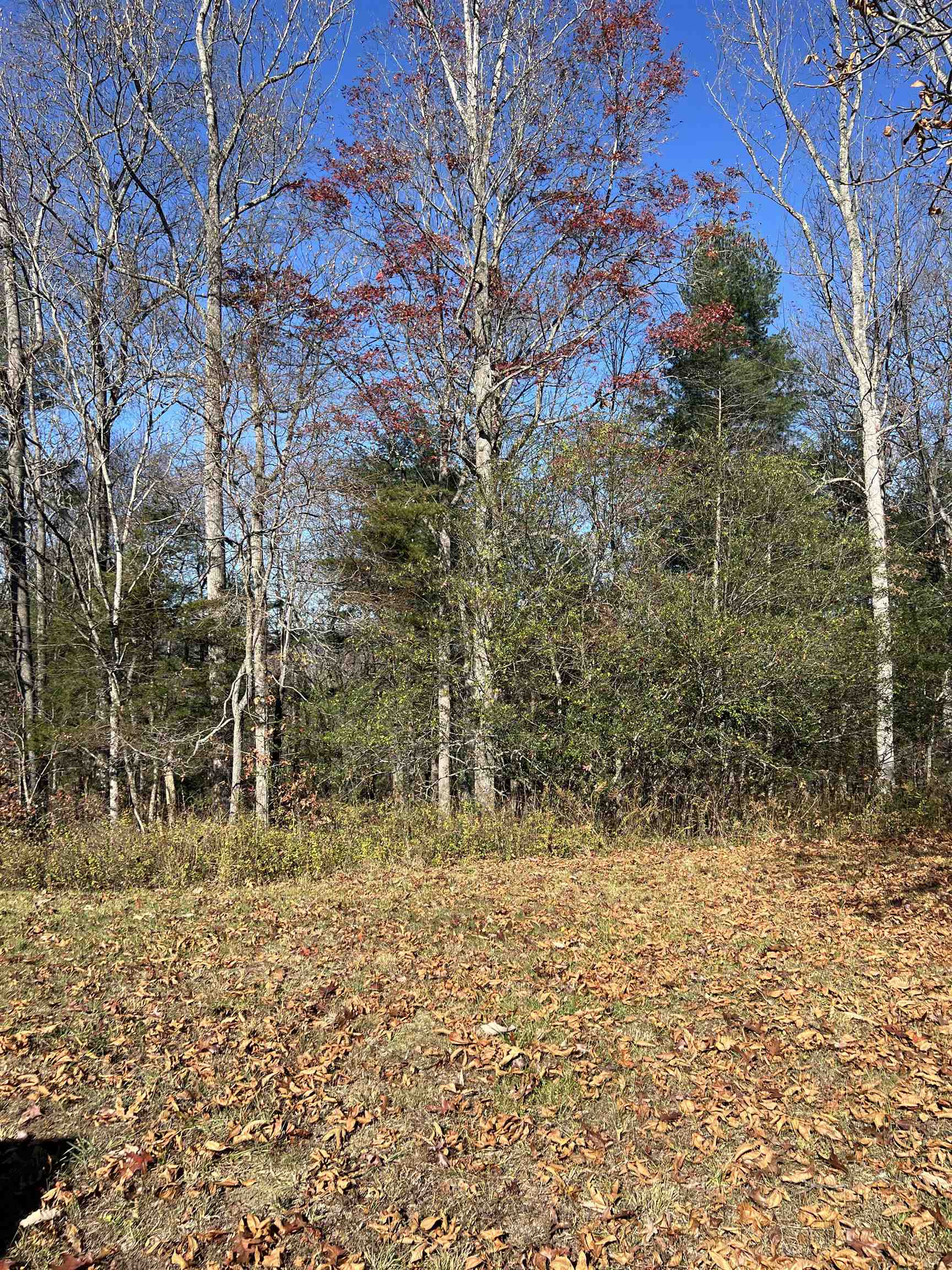 TBD ANDERSON FARM RD, ROCKBRIDGE BATHS, Virginia 24473, ,Land,TBD ANDERSON FARM RD,658862 MLS # 658862