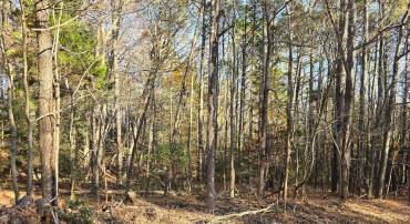 LOT 4 FALLING LEAF LANE, MONTROSS, Virginia 22520, ,Land,For sale,LOT 4 FALLING LEAF LANE,VAWE2007810 MLS # VAWE2007810