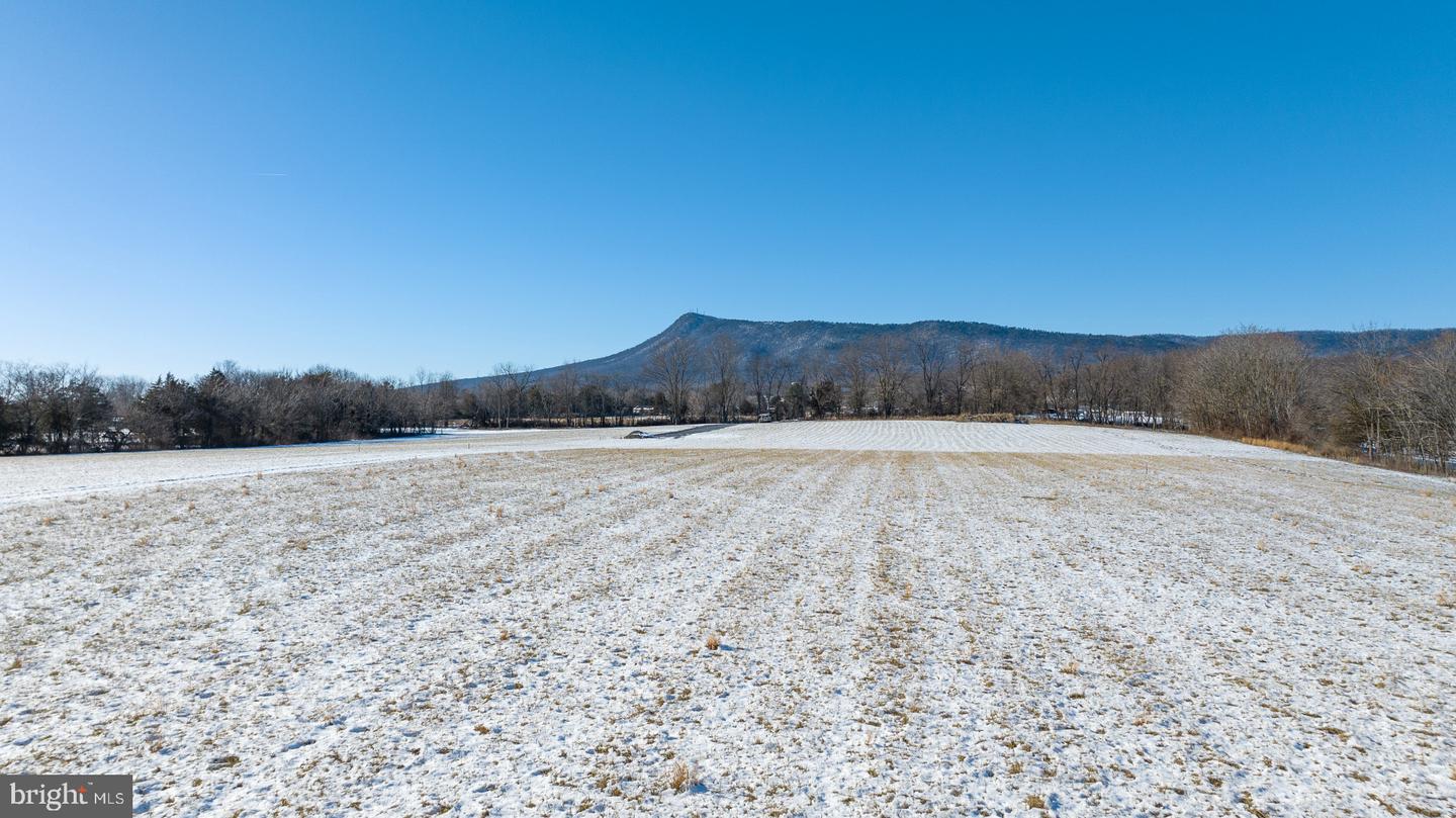 DAVE BERRY RD, MCGAHEYSVILLE, Virginia 22840, ,Land,For sale,DAVE BERRY RD,VARO2001902 MLS # VARO2001902