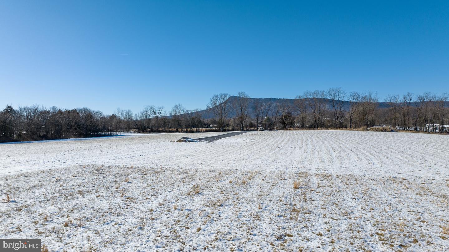 DAVE BERRY RD, MCGAHEYSVILLE, Virginia 22840, ,Land,For sale,DAVE BERRY RD,VARO2001902 MLS # VARO2001902