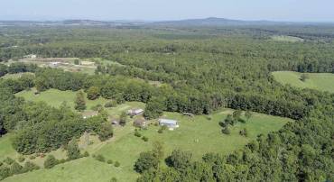 29.29 acres of open pasture and woods.