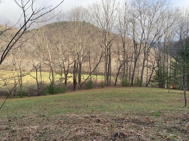 TBD LOWER BACK CREEK RD, MONTEREY, Virginia 24465, ,Land,TBD LOWER BACK CREEK RD,658918 MLS # 658918