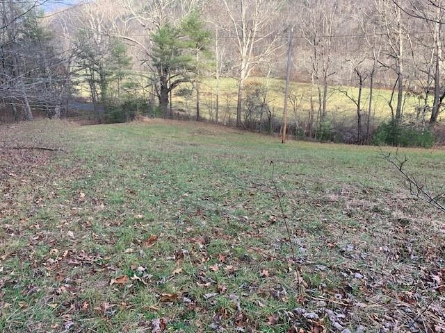 TBD LOWER BACK CREEK RD, MONTEREY, Virginia 24465, ,Land,TBD LOWER BACK CREEK RD,658918 MLS # 658918