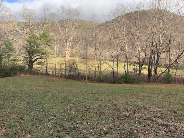 TBD LOWER BACK CREEK RD, MONTEREY, Virginia 24465, ,Land,TBD LOWER BACK CREEK RD,658918 MLS # 658918