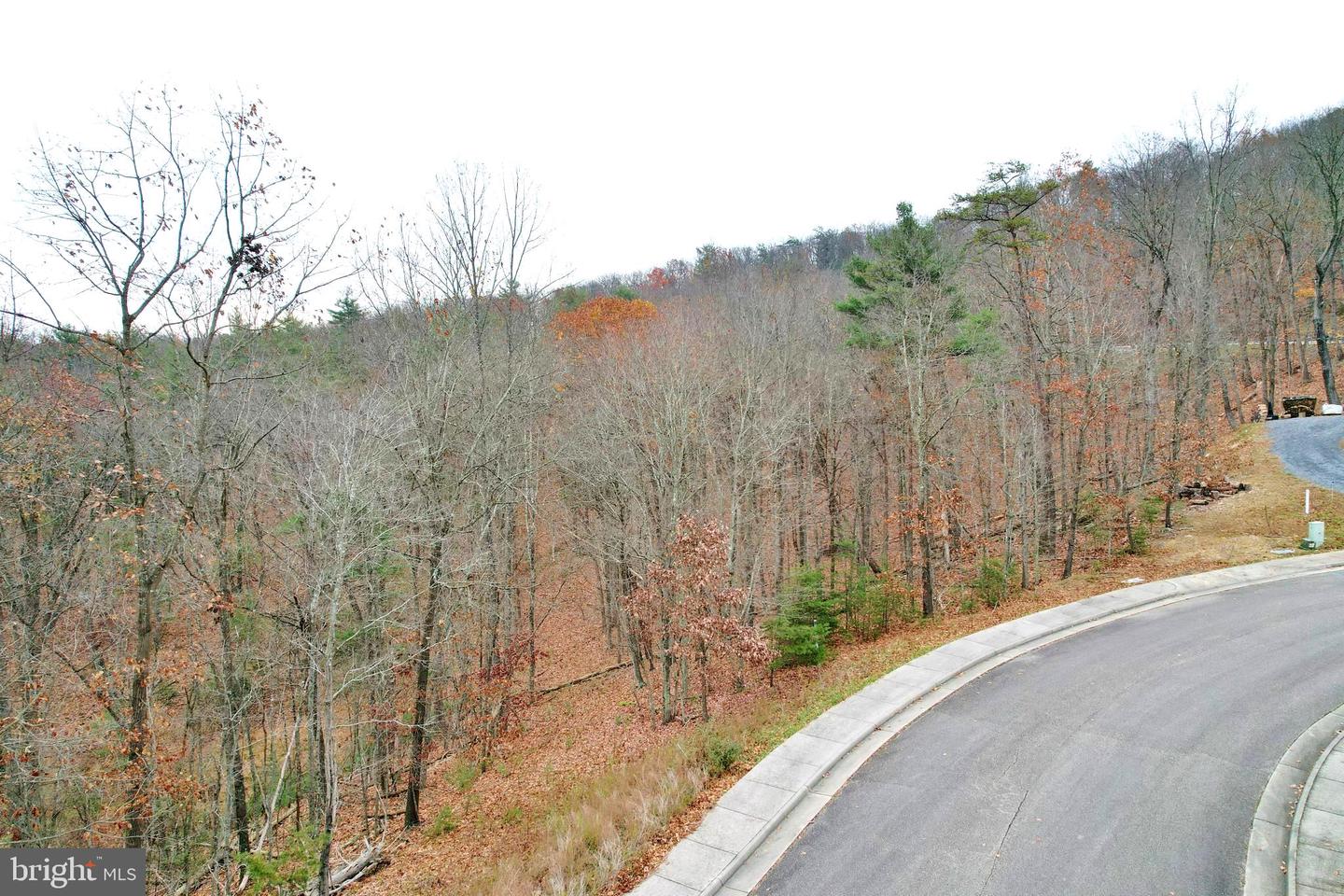 LOT 2 CREEK VALLEY DRIVE, BASYE, Virginia 22810, ,Land,For sale,LOT 2 CREEK VALLEY DRIVE,VASH2010136 MLS # VASH2010136