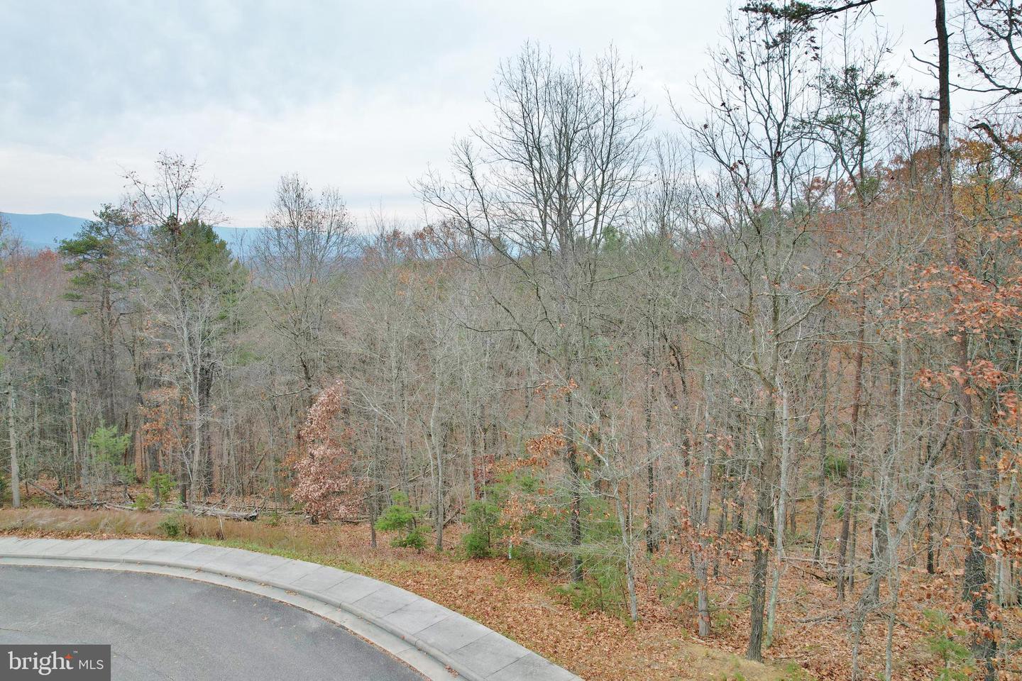 LOT 2 CREEK VALLEY DRIVE, BASYE, Virginia 22810, ,Land,For sale,LOT 2 CREEK VALLEY DRIVE,VASH2010136 MLS # VASH2010136