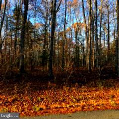 0 GRASTY LN, ORANGE, Virginia 22960, ,Land,For sale,0 GRASTY LN,VAOR2008388 MLS # VAOR2008388