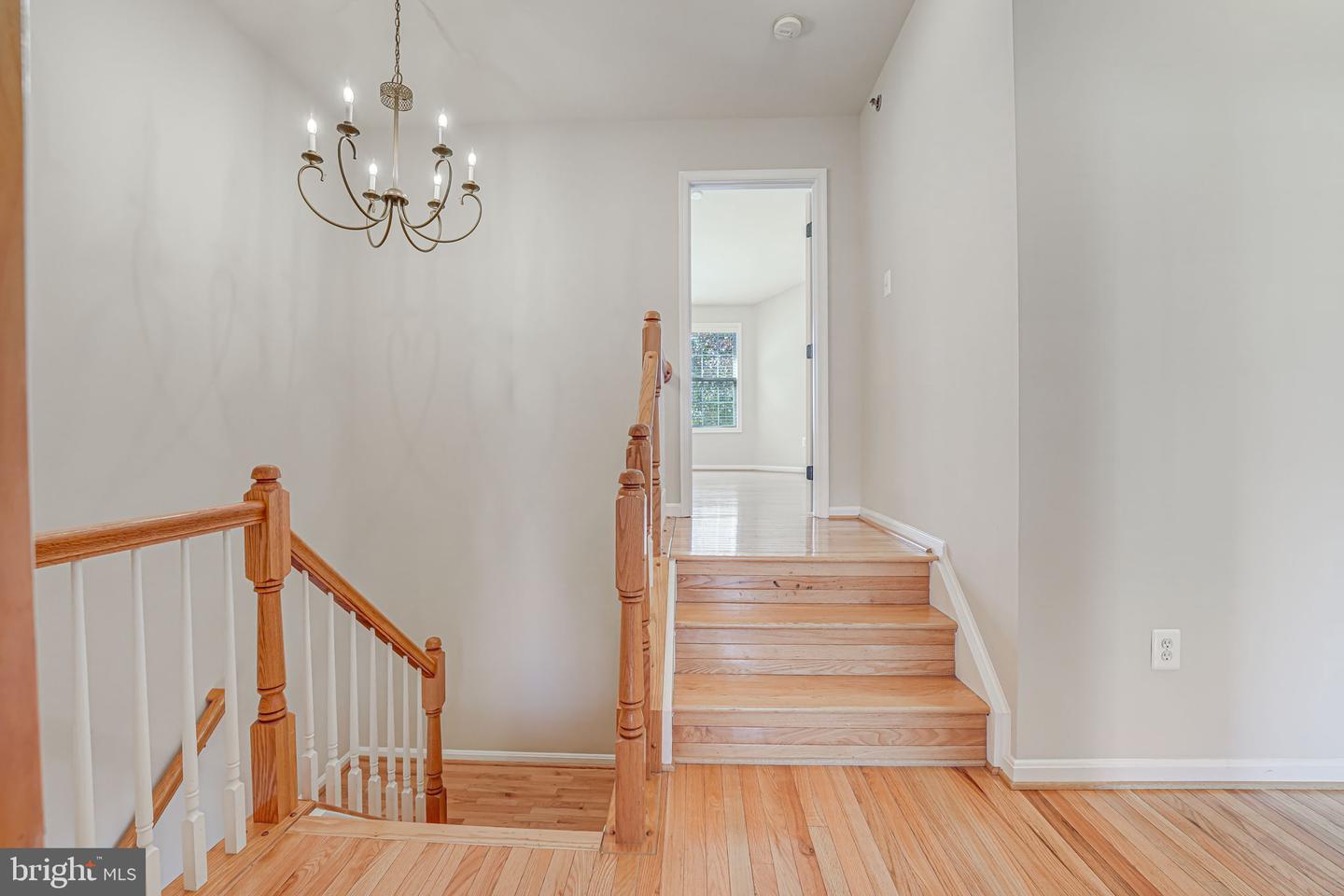 435 CLAYTON LN, ALEXANDRIA, Virginia 22304, 3 Bedrooms Bedrooms, 13 Rooms Rooms,2 BathroomsBathrooms,Residential,For sale,435 CLAYTON LN,VAAX2039392 MLS # VAAX2039392