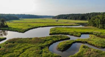 0-B WARE CREEK RD, WILLIAMSBURG, Virginia 23188, ,Farm,For sale,0-B WARE CREEK RD,658947 MLS # 658947