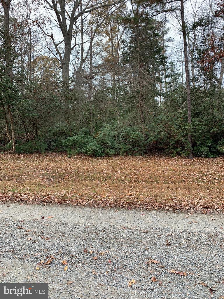 LOT 131 LONESOME PINE TRL, LANCASTER, Virginia 22503, ,Land,For sale,LOT 131 LONESOME PINE TRL,VALV2000620 MLS # VALV2000620