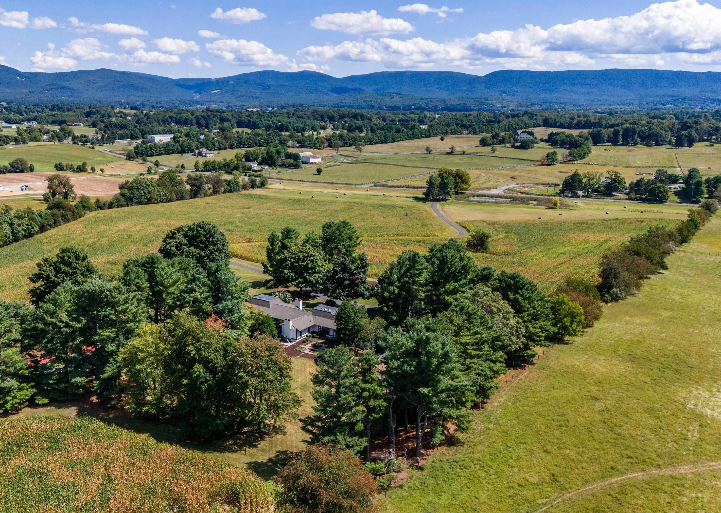 976 OLD WHITE BRIDGE RD, WAYNESBORO, Virginia 22980, 5 Bedrooms Bedrooms, ,5 BathroomsBathrooms,Residential,Tawelwch Farm,976 OLD WHITE BRIDGE RD,658970 MLS # 658970