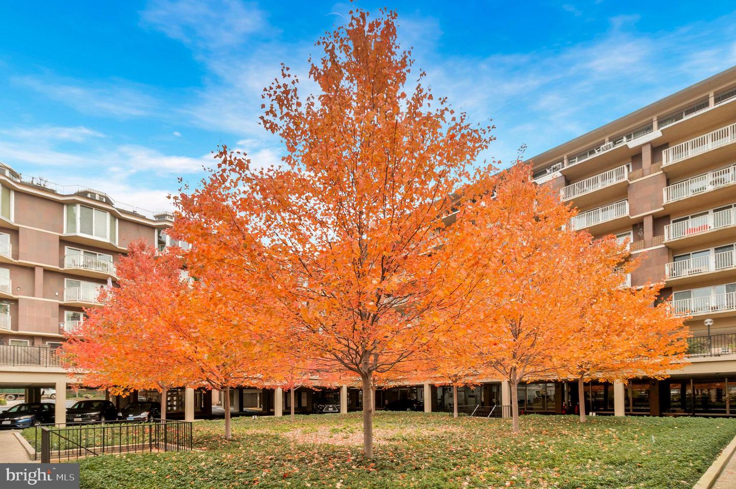 560 N SW #N103, WASHINGTON, District Of Columbia 20024, 1 Bedroom Bedrooms, ,1 BathroomBathrooms,Residential,For sale,560 N SW #N103,DCDC2169340 MLS # DCDC2169340