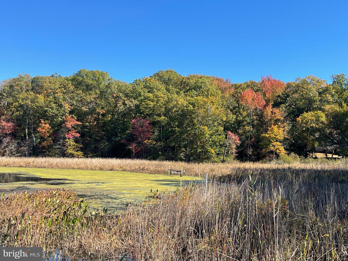 LOT 6 SHADY COVE LANE, STAFFORD, Virginia 22554, ,Land,For sale,LOT 6 SHADY COVE LANE,VAST2034374 MLS # VAST2034374