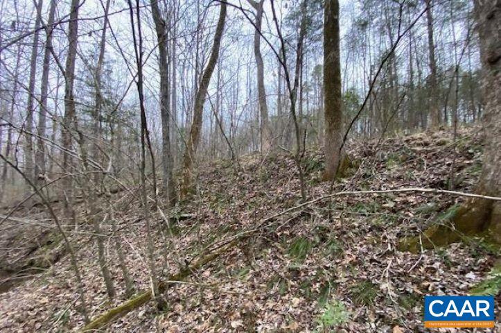 LOT 5 CUCKOO RD, MINERAL, Virginia 23117, ,Land,For sale,LOT 5 CUCKOO RD,658984 MLS # 658984