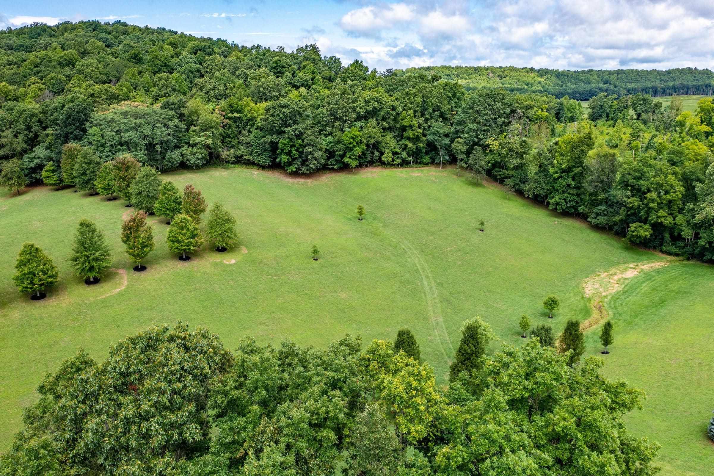 A portion of the 12.25 acres lends itself to a picturesque pasture for horses. A seasonal stream flows through the pasture.