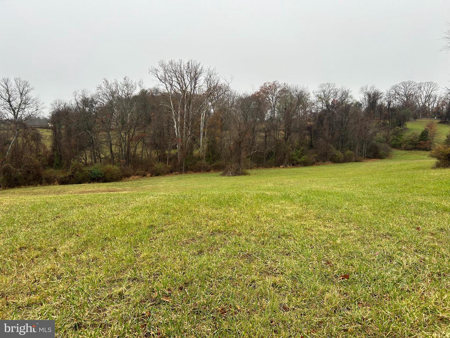 POLECAT HILL ROAD, MIDDLEBURG, Virginia 20117, ,Land,For sale,POLECAT HILL ROAD,VALO2084200 MLS # VALO2084200