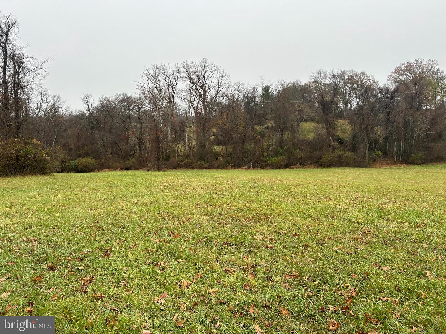 POLECAT HILL ROAD, MIDDLEBURG, Virginia 20117, ,Land,For sale,POLECAT HILL ROAD,VALO2084200 MLS # VALO2084200